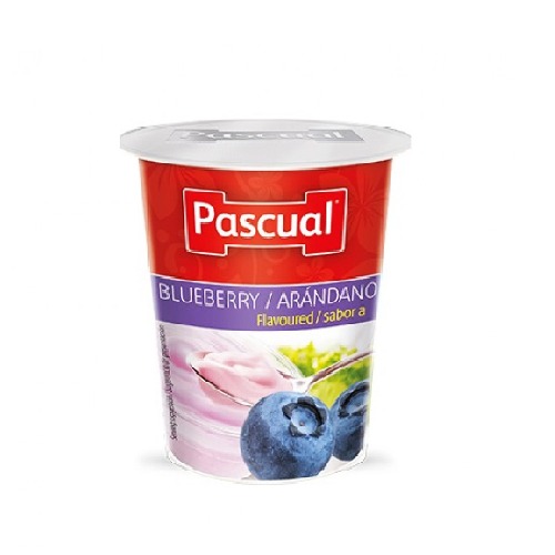 Pascual Yogurt Blueberry Flavour 125 gm