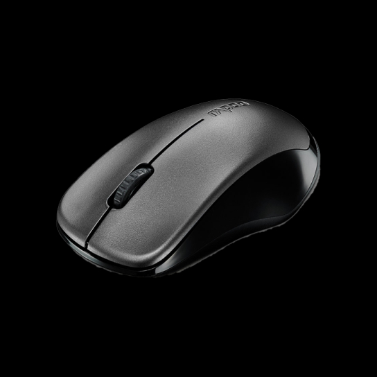 Rapoo 1620 Wireless Optical Mouse -Black