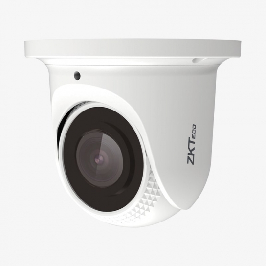 https://www.pasalnepal.com/assets/images/products/1277924898-zkteco-2-megapixel-analog-eyeball-camera.jpg