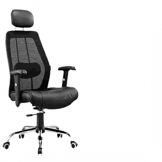 Mesh back-Revolving Chair