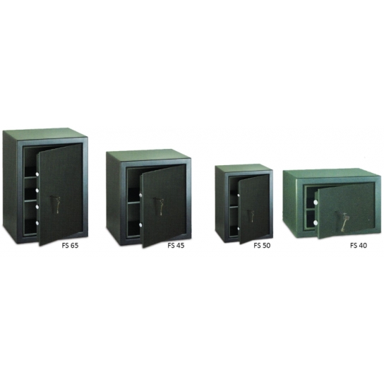 Godrej Eurolite S2 Fire and Burglar Resistant Safe Locker(FS-45)