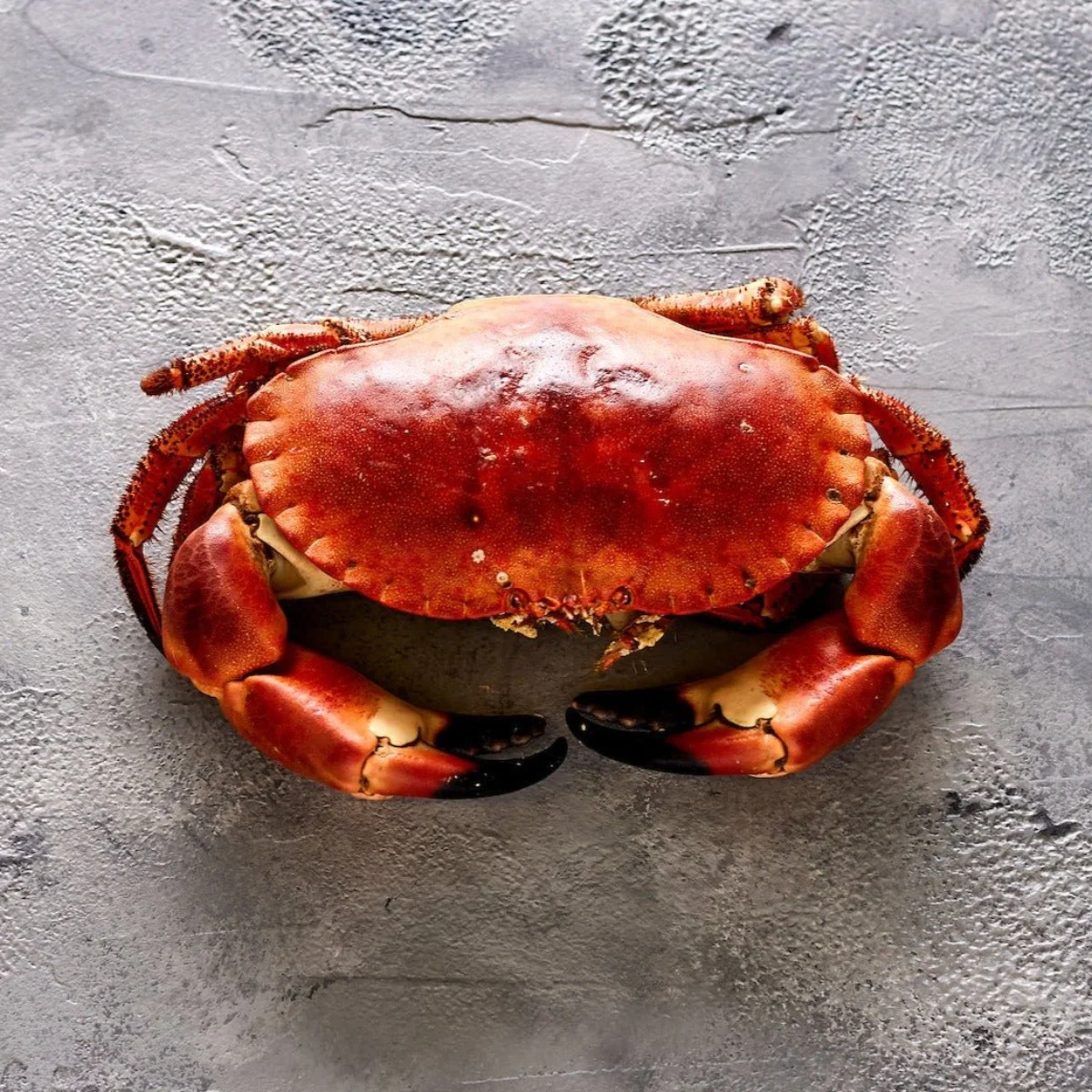 https://www.pasalnepal.com/assets/images/products/1483509867-sea-crab-whole.webp