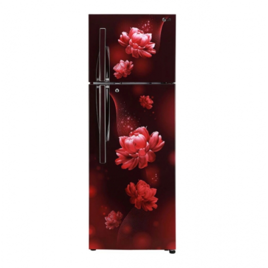 LG 310 ltr Double Door Refrigerator
