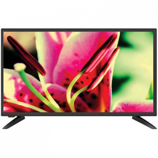 CG Normal LED TV(24