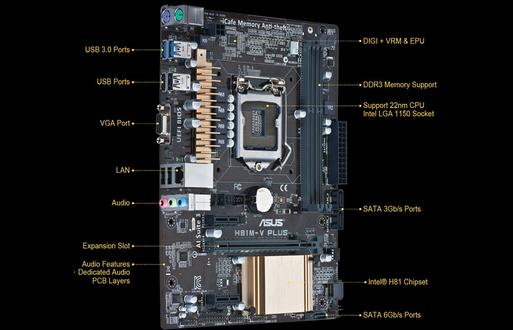 ASUS- Motherboard H81M-V PLUS