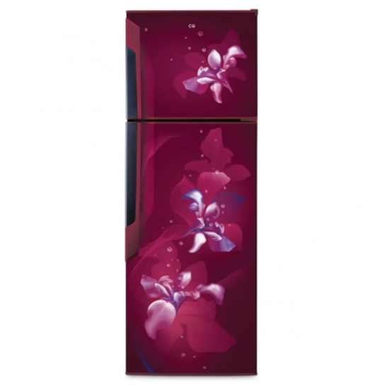 CG Double-door Refrigerator 290 Ltr