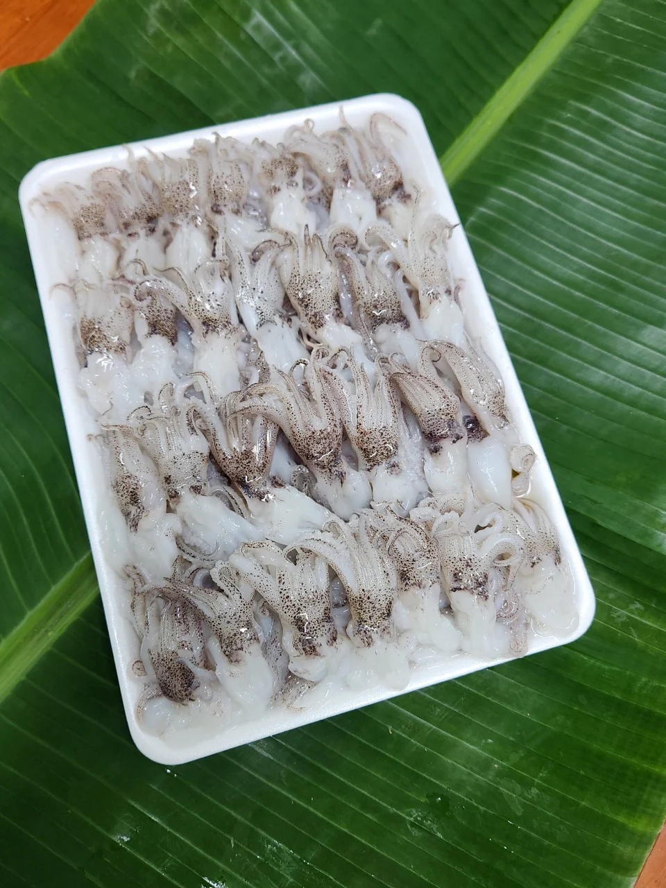 Cuttle Fish Tray Pack 500gm