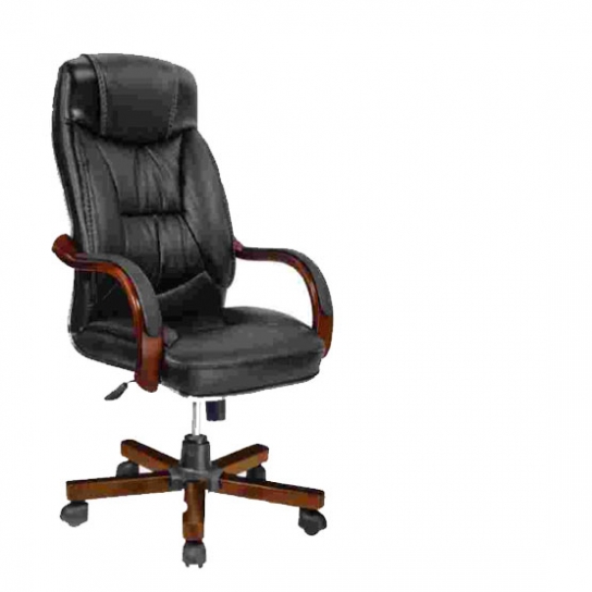 Stylish Revolving Chair