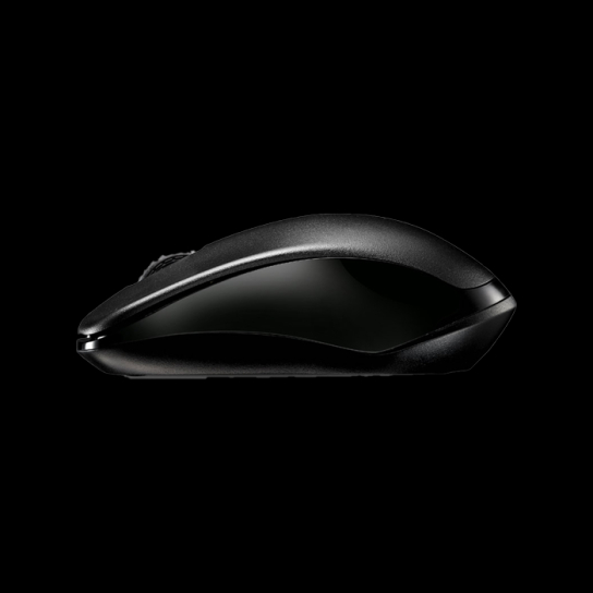 Rapoo 1620 Wireless Optical Mouse -Black