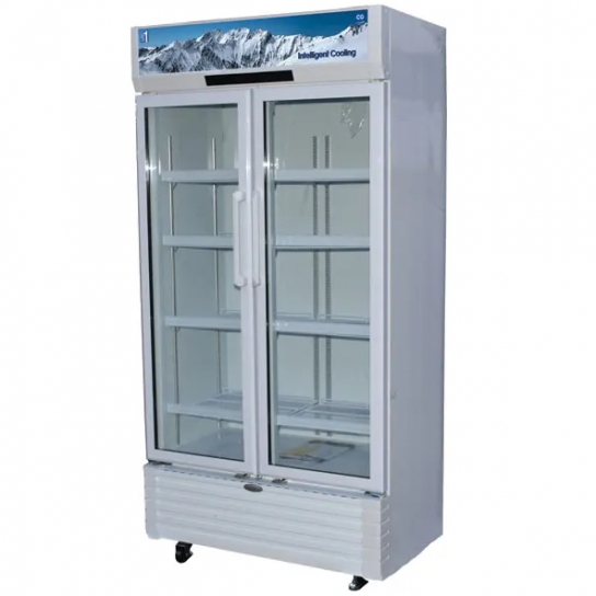 https://www.pasalnepal.com/assets/images/products/671016160-cg-double-layer-tempered-glass-door-810-ltrs-showcase-freezer.jpg
