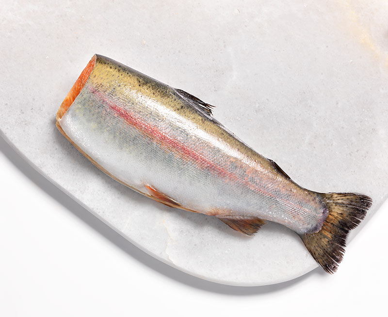 Salmon Whole-Headless