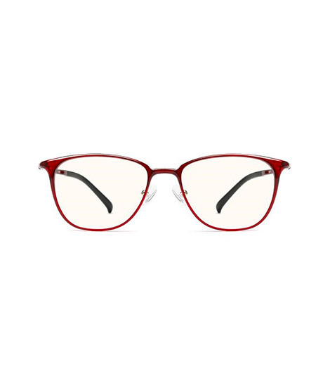 MI TS COMPUTER GLASSES