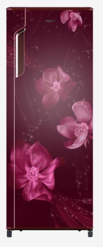 Whirlpool 280 L Refrigerator  (305 IMFRESH PRM 3S)